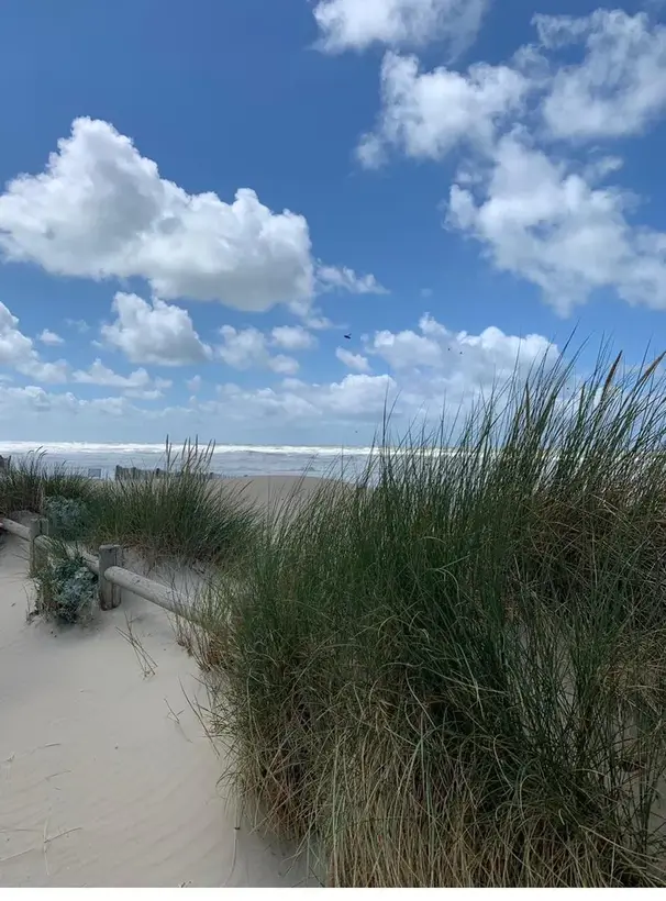 Plage de Quend-Plage, Baie de Somme, coucher de soleil / dunes / mer /char a voile /speedsail/ bases nautiques /cerf volant.